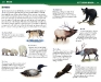 Wildlife